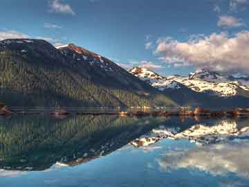 高尔夫球场赛事志愿者签到与考勤表模板，高尔夫业余比赛报名表